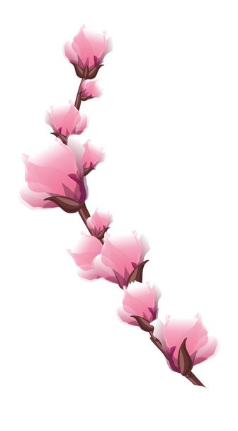 spring twig with pink delicate flowers - Vector, Image
