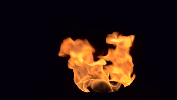 Slow motion. Detailed fire isolated on black full Hd - Footage, Video
