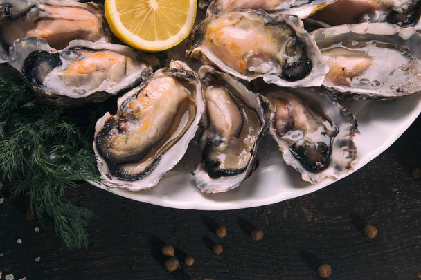 Oysters with lemon close-up - Photo, Image