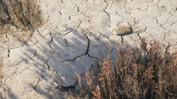 Gedehydrateerde droge grond in de woestijn - Video