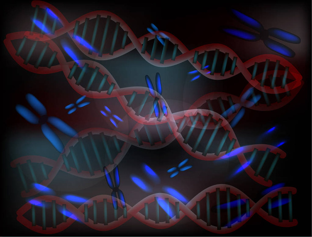 染色体と Dna の分子の背景。ベクトル図. - ベクター画像