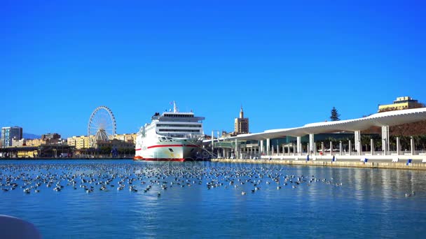 Puerto de Málaga. Málaga es un municipio español de la Comunidad Autónoma de Andalucía. La ciudad más grande del sur de Europa, se encuentra en la Costa del Sol del Mediterráneo
. - Metraje, vídeo