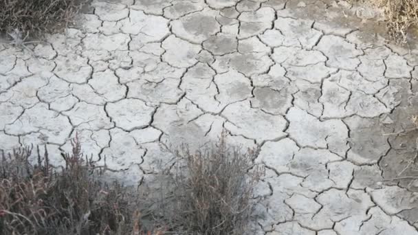 Odwodnionej suchej gleby na pustyni - Materiał filmowy, wideo