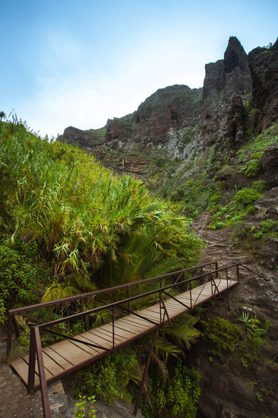 Randonnée pédestre sur Tenerife - Connu pour sa nature unique et contrastée
 - Photo, image