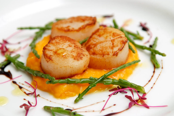 Scallops, creatively arranged food on a white restaurant plate - Photo, Image