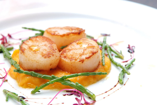 Scallops, creatively arranged food on a white restaurant plate - 写真・画像