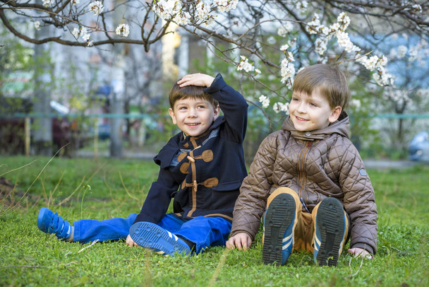 glückliche kleine Brüder Kinder im Frühlingsgarten mit blühenden Bäumen, - Foto, Bild
