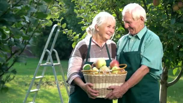 Glückliches Seniorenpaar mit Korb. - Filmmaterial, Video