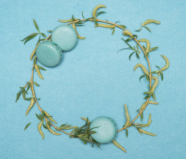 Frame of branch of a willow tree and macaroon on a turquoise bac - Фото, изображение