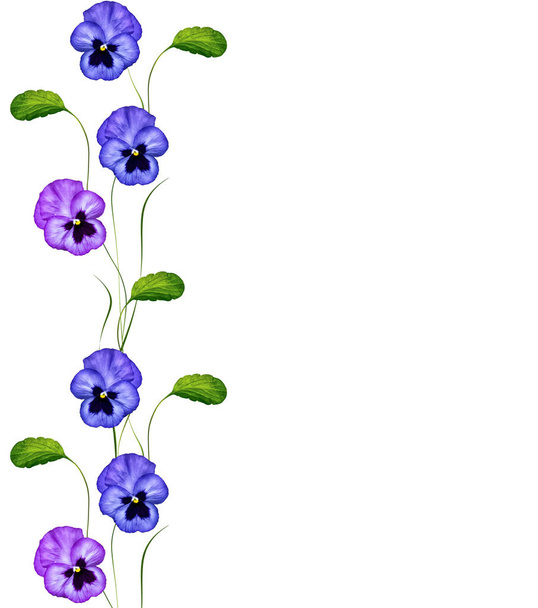 白地に緑と紫のパンジーを葉します。 - 写真・画像