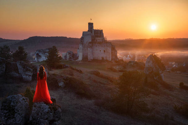 Woman and castle - Photo, Image