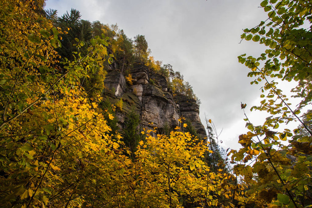 Herbst in deutschen Bergen und Wäldern - die Sächsische Schweiz ist ein  - Foto, Bild