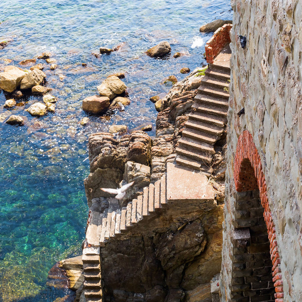 stairs at the rocky coast of Riomaggiore, Italy - Photo, image