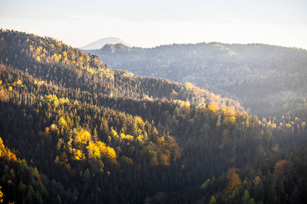 Ősszel a német hegyek és erdők - szász Svájc van egy  - Fotó, kép