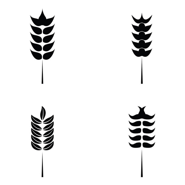 Cereals icon set with rice, wheat. - Vector, Image