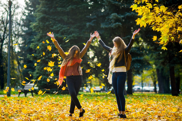 Two girls cheerfully spend time in the autumn park. - Photo, Image