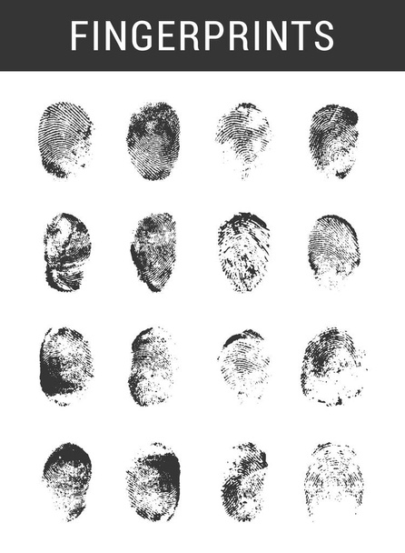 Set of Black Fingerprints on White Background - Vector, Image