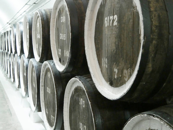 Old oak barrels in a row at the cellars of the winery. Beautiful vintage background. Close up - Photo, Image
