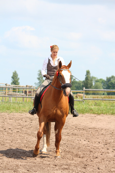 Beautiful young blonde woman riding chestnut horse - Photo, Image