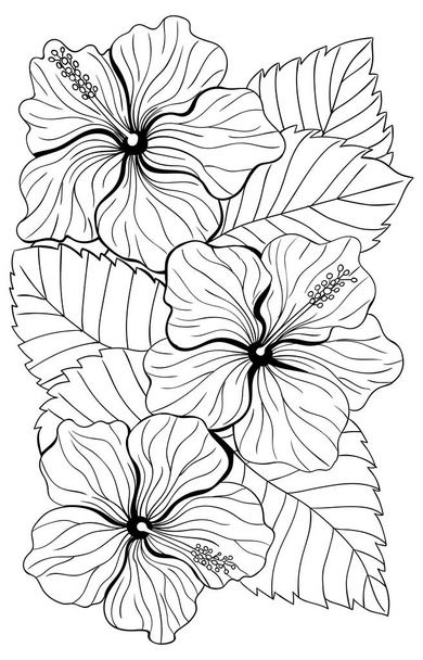 Ramo de flores de hibisco y hojas tropicales
 - Vector, imagen