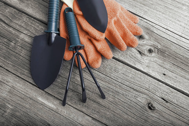 Gardening tools and gloves. - Foto, afbeelding