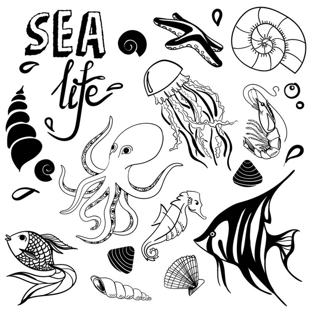 Sea life hand drawn sketch with seahorse, fish, seashell, seastar, jellyfish, octopus - Вектор,изображение