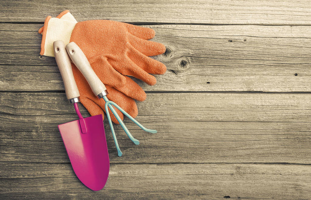 Gardening tools and gloves. - Zdjęcie, obraz