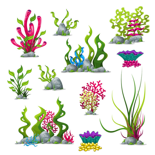 Set of different underwater plants - Vektor, kép