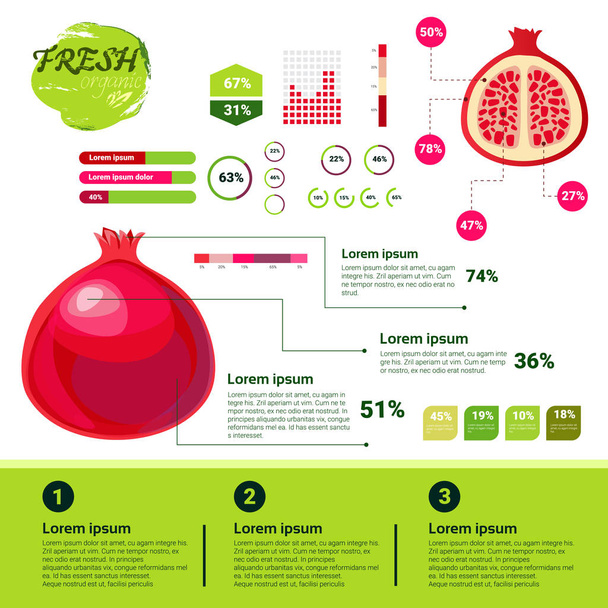 Свіжа органічна інфографіка Зростання природних фруктів, сільське господарство та сільське господарство
 - Вектор, зображення