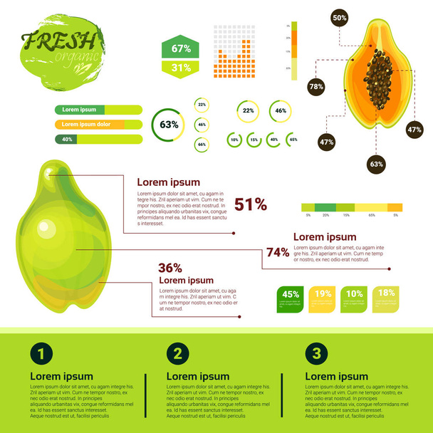Infographies biologiques fraîches Croissance des fruits naturels, agriculture et agriculture
 - Vecteur, image