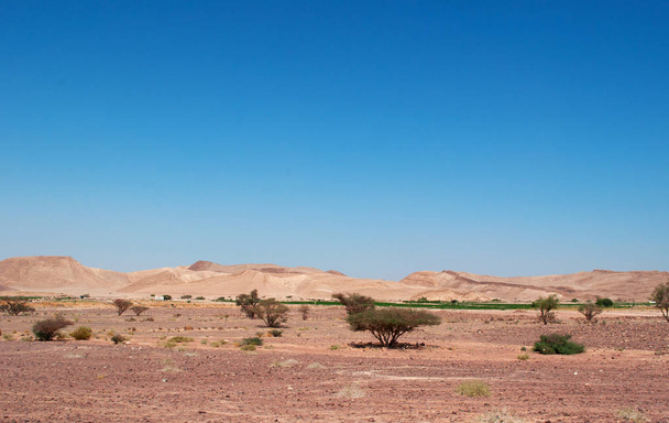 Moyen-Orient : le paysage désertique de la Réserve de biosphère de Dana, la seule réserve de Jordanie qui englobe différentes zones biogéographiques, un creuset d'espèces d'Europe, d'Afrique et d'Asie
 - Photo, image