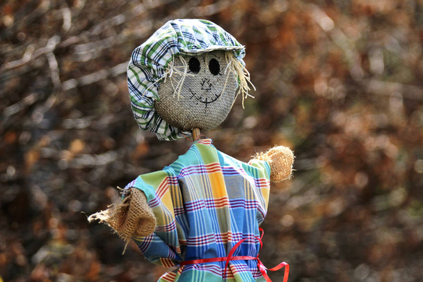 Scarecrow wearing a hat and a smile - Photo, Image