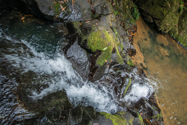 Waterfall and small lake in the rain forest of Khao Sok sanctuar - Φωτογραφία, εικόνα