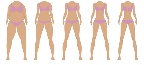 Fat and thin girls - Vector, Image