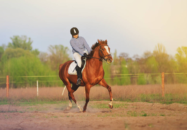 Meisje jockey berijden van een paard - Foto, afbeelding
