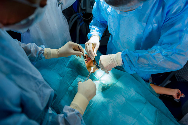 Doctors using different medical instruments - Фото, зображення