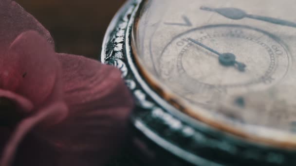 Close-up van zakhorloge naast een zacht roze paarse bloem en de passage van tijd - Video