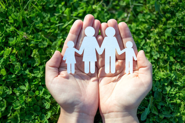 Paper family in two hands on green grass background - Photo, Image