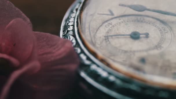 Nahaufnahme einer Taschenuhr neben einer zartrosa violetten Blume und dem Vergehen der Zeit - Filmmaterial, Video