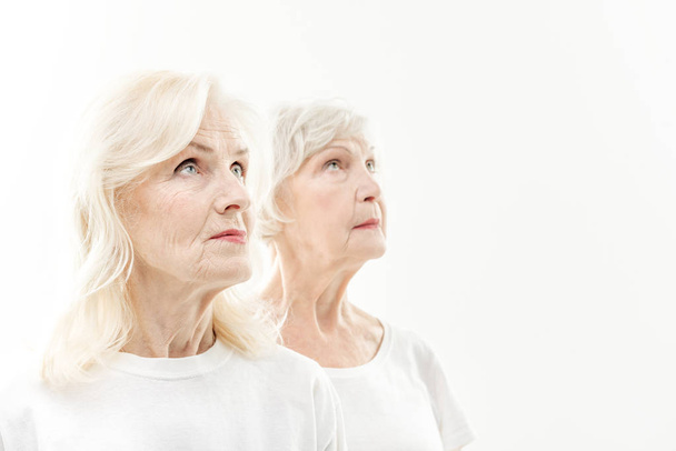 Wrinkled old ladies waiting for new youth - Valokuva, kuva