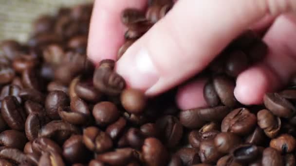 Femme Brown tauch grains de café boucle vidéo
 - Séquence, vidéo