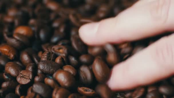 Кава в зернах жінка коричневий tauch петлі відео - Кадри, відео
