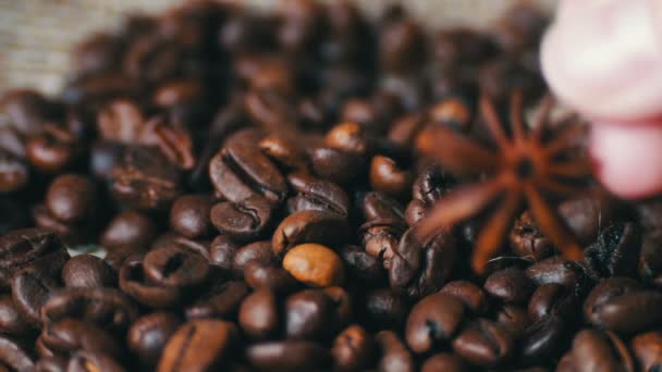 Zbliżenie z ziaren kawy anyżu i cynamonu - Materiał filmowy, wideo