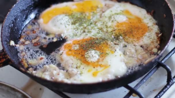 Αυγά ομελέτα με τηγανιτά κρεμμύδια, κιμάς και μπαχαρικά σε ένα τηγάνι - Πλάνα, βίντεο