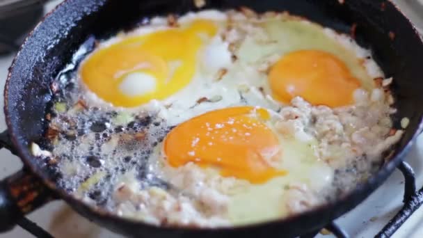 Jajecznicę smażoną cebulę, mięso mielone z przyprawami na patelni - Materiał filmowy, wideo