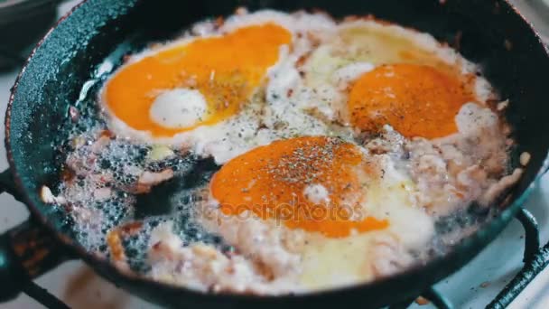 Ovos mexidos com cebola frita, carne picada e especiarias em uma frigideira
 - Filmagem, Vídeo