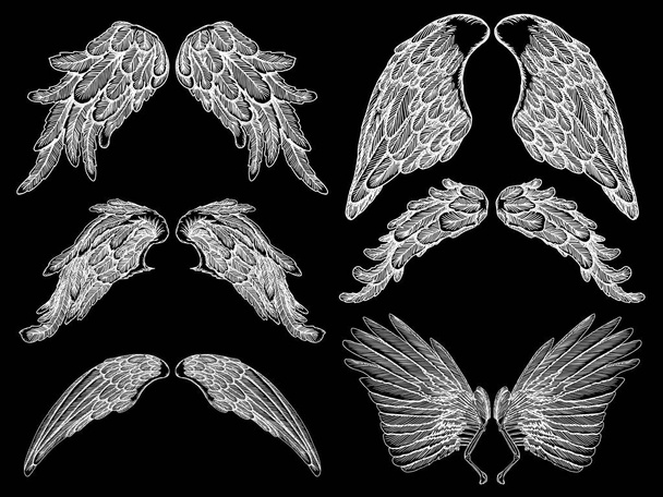 Hand drawn illustration of wings set - Vektor, obrázek