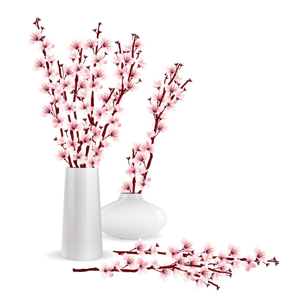 cherry blossom branches in vase - Vector, Image