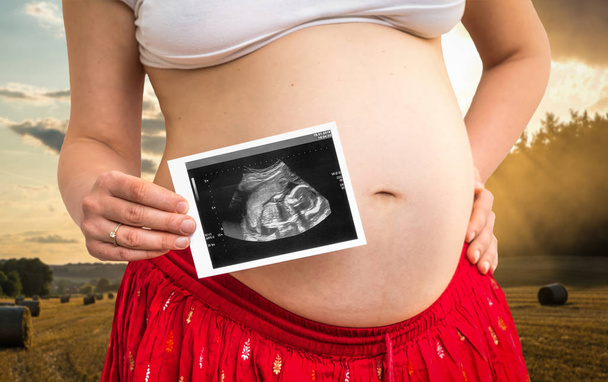 Barriga de uma mulher grávida e ultra-som de bebê
 - Foto, Imagem
