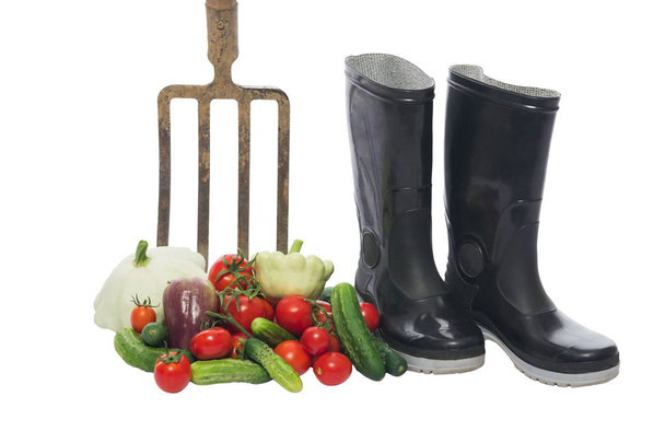 fresh vegetables near the pitchfork and boots, insulation - Foto, imagen
